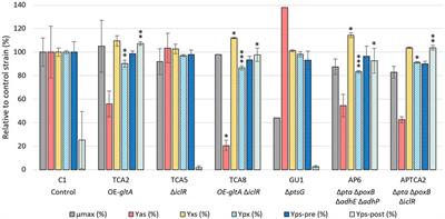 Minimizing acetate formation from overflow metabolism in Escherichia coli: comparison of genetic engineering strategies to improve robustness toward sugar gradients in large-scale fermentation processes